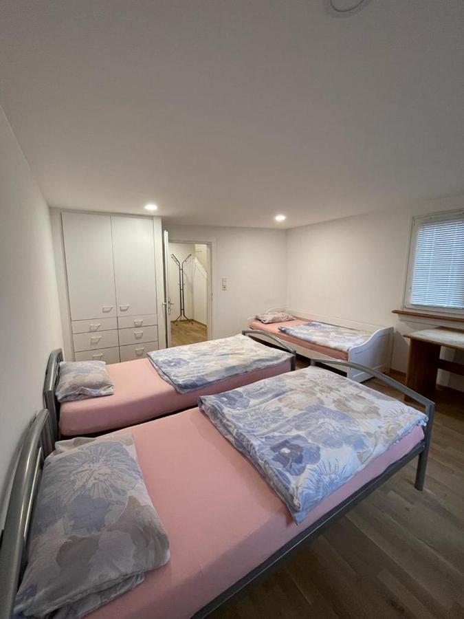 Apartment Viktoria Offenburg Exterior photo